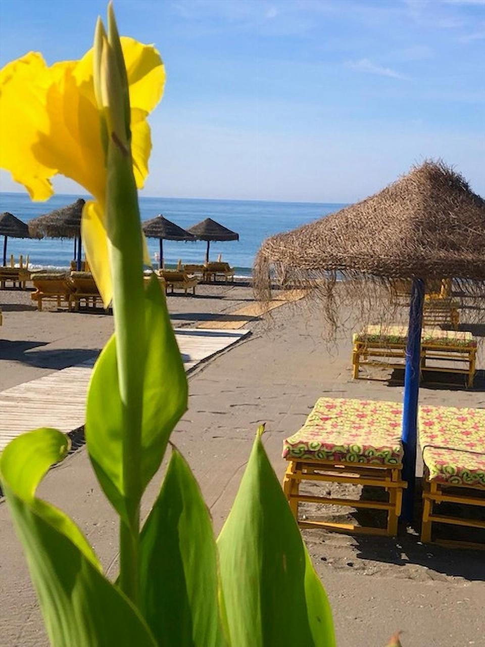 Spacious 1 Bedroom Apartment, Beach Front, Torrox Costa Eksteriør bilde